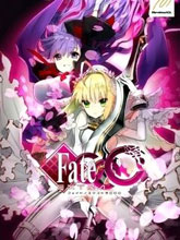 Fate/EXTRACCCTRIAL漫画