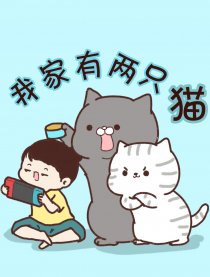 我家有两只猫海报