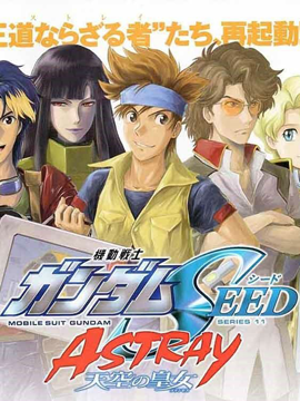 机动战士高达SEED Astray：天空的皇女海报